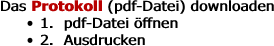 Das Protokoll (pdf-Datei) downloaden 