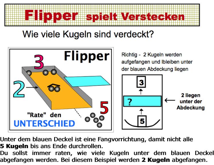 Flipper